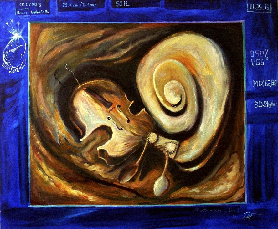 Violoncello fetus fötus