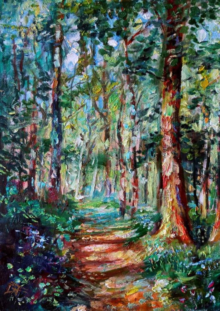 <br>Sun in the Forest