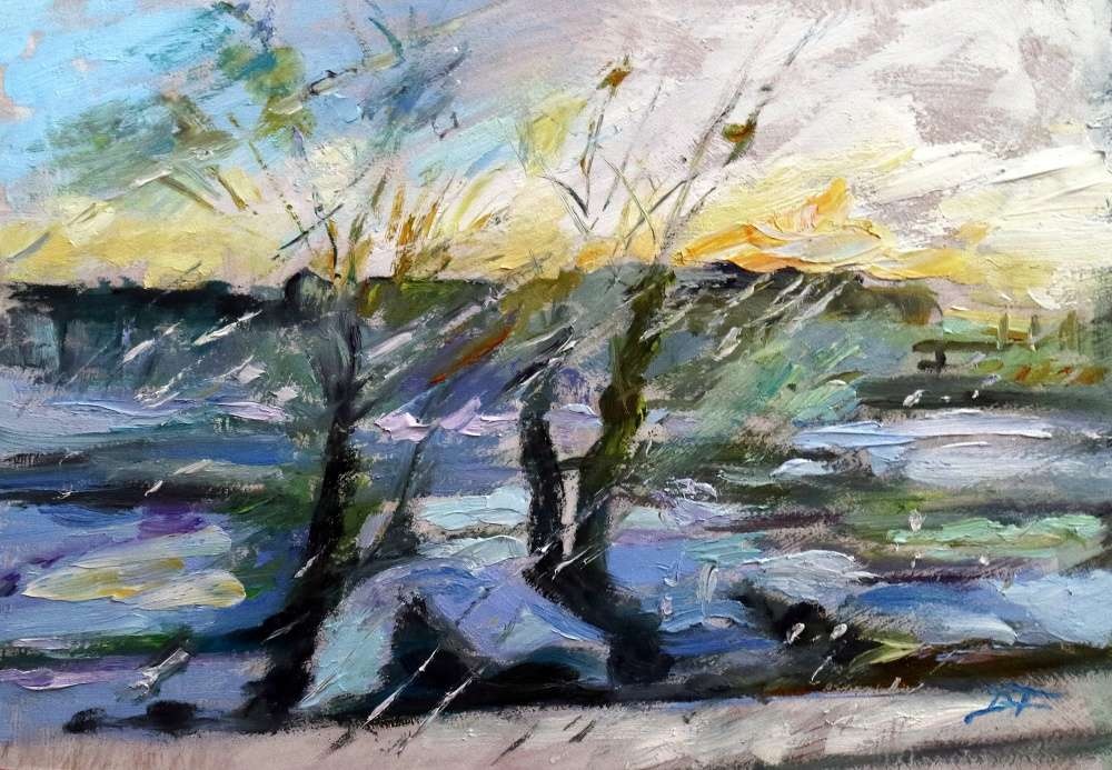 Winter´s Journey<br>(View from a train)